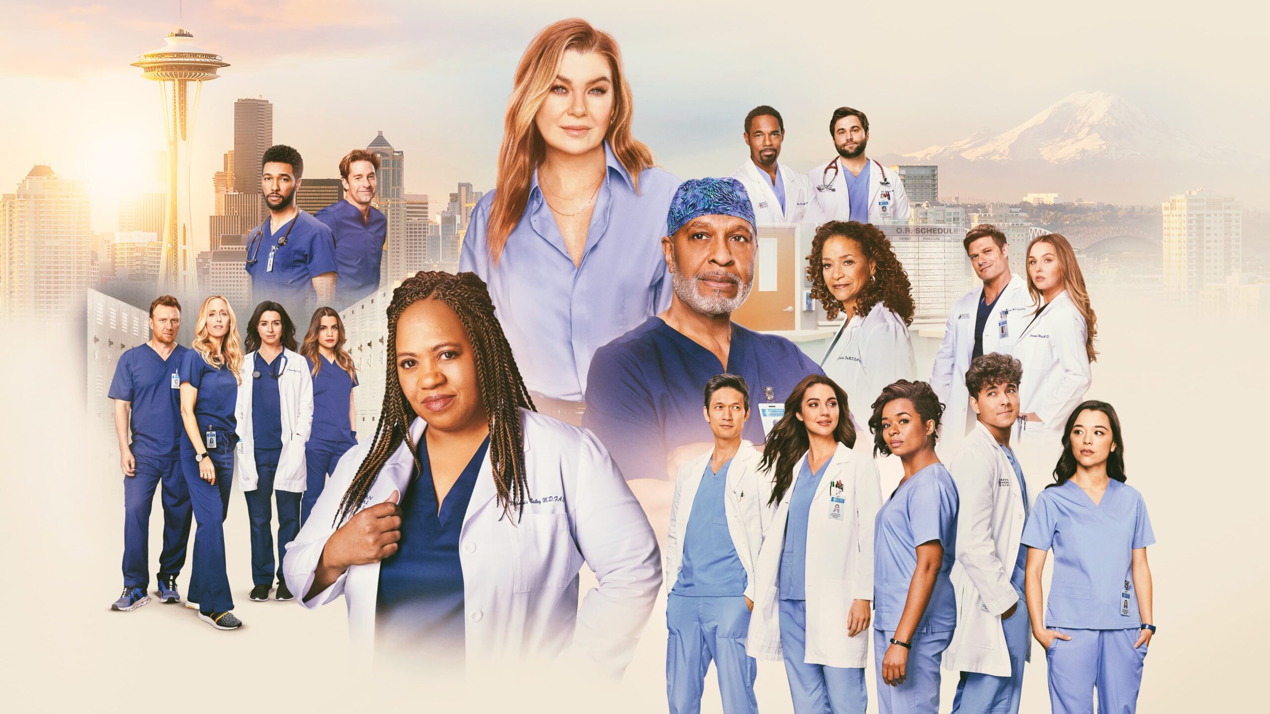 Plan Lekcji Grey S Anatomy - Grey's Anatomy, temporada 21: todos los detalles aquí - My Family Cinema