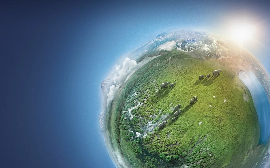 Belleza salvaje: 5 documentales de naturaleza que te van a dejar sin aliento